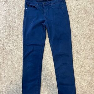 Adriana goldschmied women’s blue “The prima” pants size 29‎